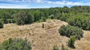 TBD County Road 136 #59 - Photo 15