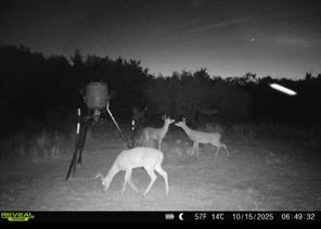 TBD County Road 136 #59 - Photo 19