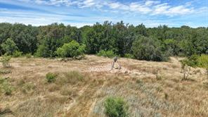 TBD County Road 136 #59 - Photo 3