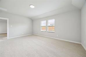 2229 Magenta Lane - Photo 15