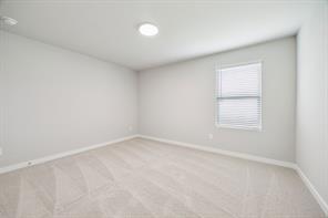2229 Magenta Lane - Photo 19