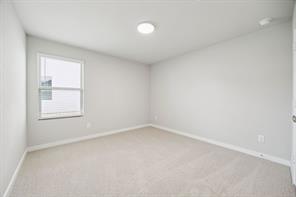 2229 Magenta Lane - Photo 23