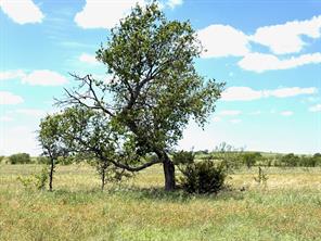 Lot 30 PR 4311 - Photo 4
