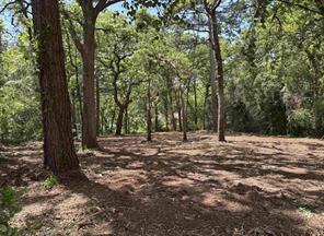 514 Dogwood Lane - Photo 1