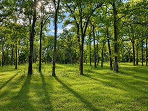 TBD County Road 1503 - Photo 1