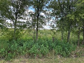 Lot 3 Rutledge Road - Photo 14