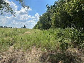 Lot 3 Rutledge Road - Photo 4