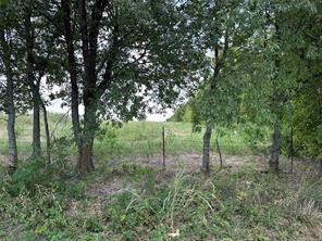 Lot 6 Rutledge Road - Photo 25