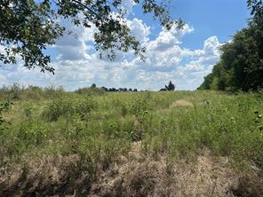 Lot 6 Rutledge Road - Photo 3