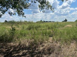 Lot 6 Rutledge Road - Photo 5
