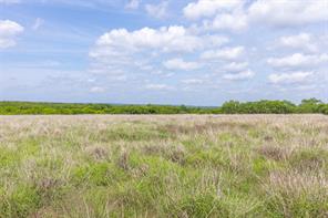 7416B Highway 84 - Photo 28