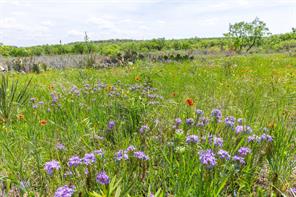 7416B Highway 84 - Photo 30