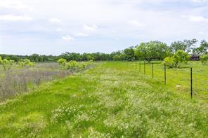 7416B Highway 84 - Photo 6