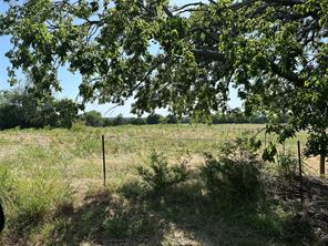 Lot 8 Webb Smith Road - Photo 2