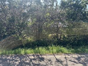 Lot 8 Webb Smith Road - Photo 5