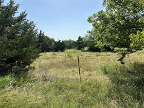 Lot 8 Webb Smith Road - Photo 8