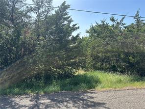 Lot 8 Webb Smith Road - Photo 9