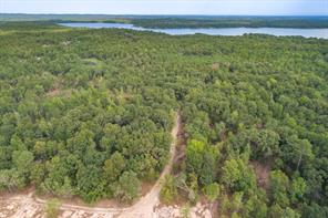 Tract 1 - TBD County Road 4307 Road - Photo 13