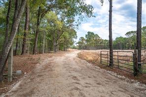 Tract 1 - TBD County Road 4307 Road - Photo 4