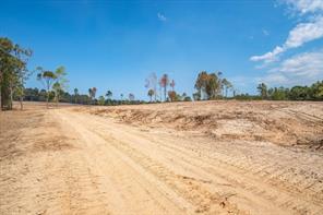 Tract 1 - TBD County Road 4307 Road - Photo 6