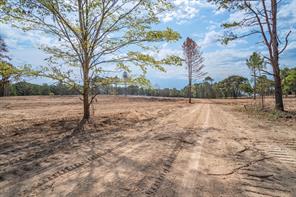 Tract 1 - TBD County Road 4307 Road - Photo 7