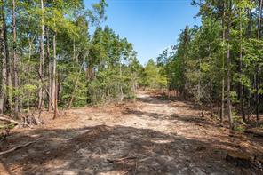 Tract 1 - TBD County Road 4307 Road - Photo 8