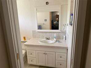 2904 Bridal Wreath Lane - Photo 21