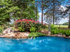 660 County Road 1334 - Photo 38