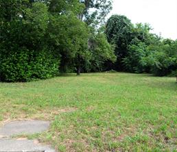 2539 Pine Street - Photo 1