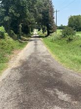Lot 4 CR 3385 S Fm 900 - Photo 1