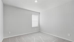 1528 LEMON TREE Lane - Photo 13