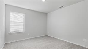 1528 LEMON TREE Lane - Photo 15