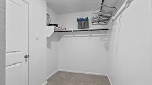 1536 LEMON TREE Lane - Photo 24