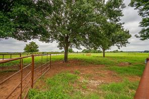 505 Double Tree Lane - Photo 34