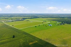 825 Dulak Lane - Photo 3
