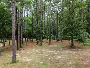 4240 County Road 2107 - Photo 32