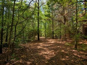 8909 FM 1795 - Photo 36