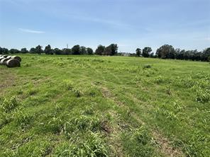 Lot 2 CR 358 FM 900 - Photo 4