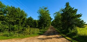 Lot 2 CR 358 FM 900 - Photo 6