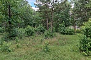 1159 Fm 248 - Photo 7