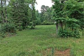 1159 Fm 248 - Photo 9