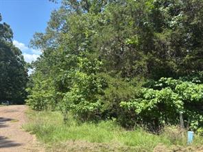 TBD Croton Lane - Photo 1