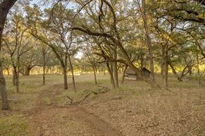 51 Cattle Trail Trail - Photo 1