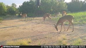 1234 RR11 RECREATIONAL ROAD 11 - Photo 15