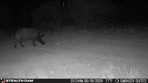 1234 RR11 RECREATIONAL ROAD 11 - Photo 17