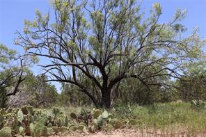 1234 RR11 RECREATIONAL ROAD 11 - Photo 2