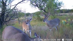 1234 RR11 RECREATIONAL ROAD 11 - Photo 4