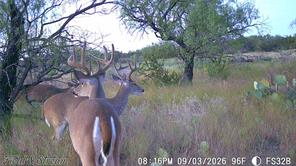 1234 RR11 RECREATIONAL ROAD 11 - Photo 6