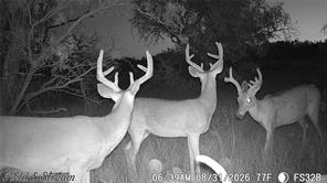 1234 RR11 RECREATIONAL ROAD 11 - Photo 7