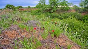 TBD CR 4371 - Photo 17